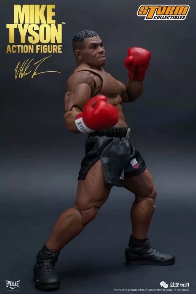 Storm Toys Boxing Tyson Boxing - Bandai Gundam Hg ulasan dan harga